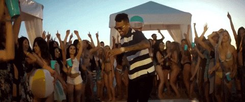 Music Video Paradise GIF by...