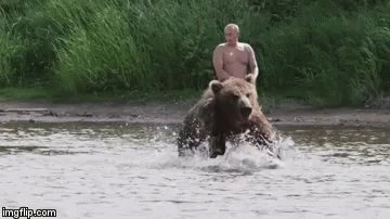 Putin Bear GIF