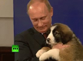 Vladimir Putin Love GIF