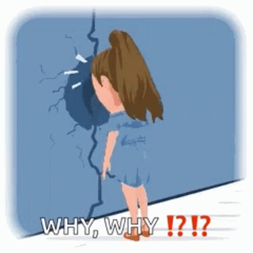 woman banging her head against a wall asking "WHY??&quo