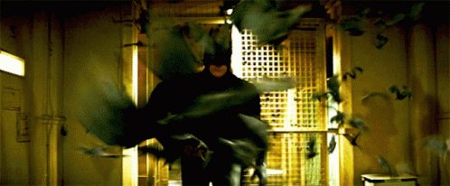 Batman Bats GIF