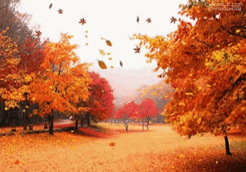 Autumn Leaves GIF