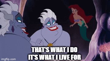 Mark MacKillop on Twitter: "@craigcargill2 https://t.co/3h4gTEjRah