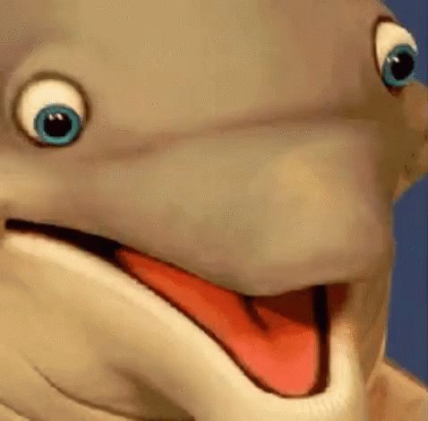 Excited Dolphin GIF