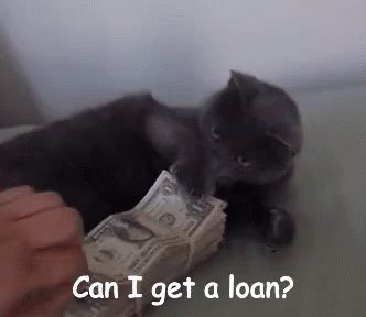 Can I Get A Loan? GIF