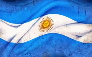 Dia De La Bandera Argentina GIF