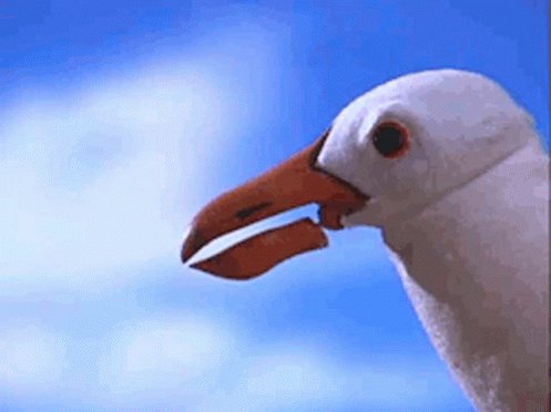 Spongeob Seagulls GIF