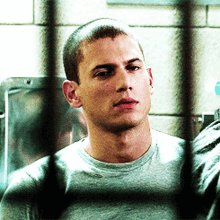 Scofield GIF