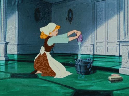 Cinderella Cleaning GIF