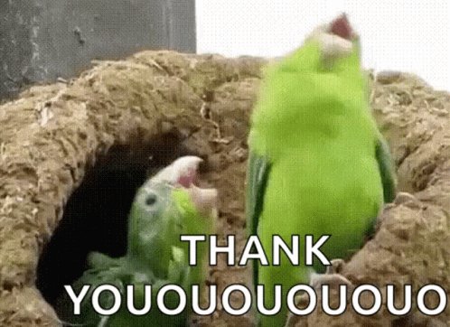 Parrot Dance GIF