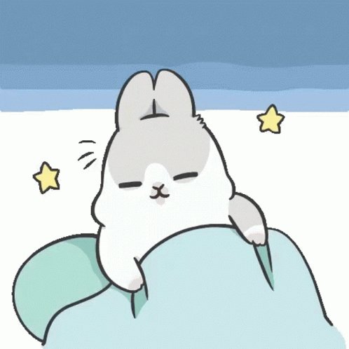 Good Night Rabbit GIF