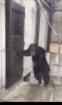 Let Me In Annoyed GIF