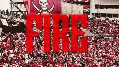 Tampa Bay GIF