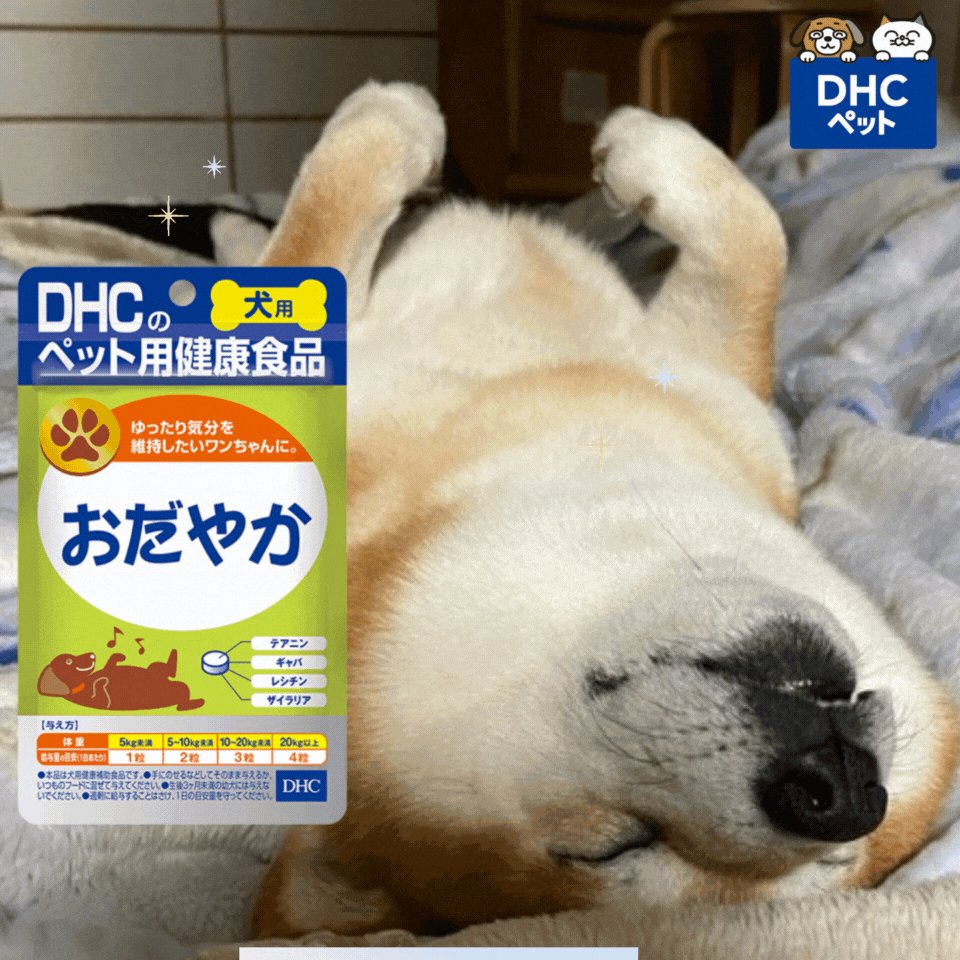 往復送料無料 Dhc 愛犬用 ビューティドッグ イヤーケアシート Www Normalhuastecashidalgo Edu Mx