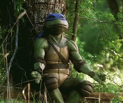 Leonardo Meditating GIF