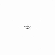 Bacteria Pattern GIF