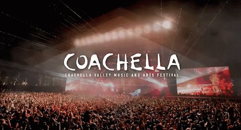 Music Festival GIF