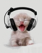 Swapnil Listening To Music GIF