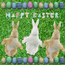 Tang916 Happy Easter GIF