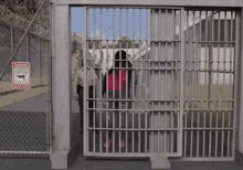 I Am Free Out Of Jail GIF