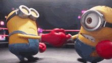 Minions Boxing GIF