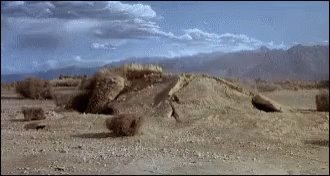 Happy Birthday Ron Underwood!

1953 Ron Underwood, directed Tremors and Mighty Joe Young. 