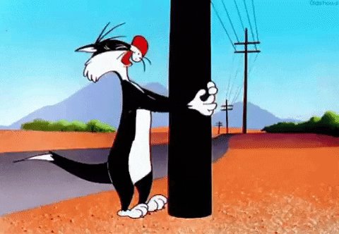 Mad Looney Tunes GIF by MOODMAN