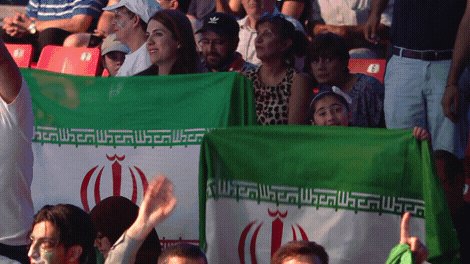 Flag Rooting GIF by Volleyb...