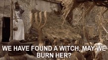 Burn The Witch Monty Python GIF