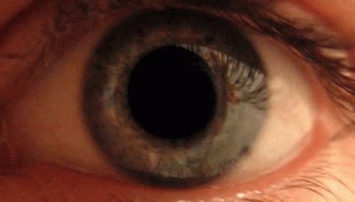 Eyes GIF
