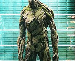 Groot Coucou GIF