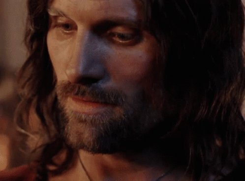 Aragorn Lotr GIF