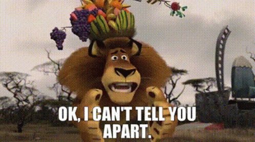 Madagascar Alex GIF