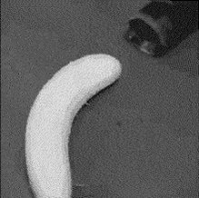 Banana Suck GIF