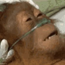 Dead Weak GIF