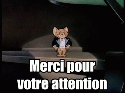 Merci Pour Votre Attention GIF