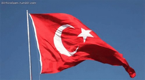 Turkey Flag GIF