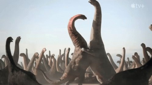 Kaperoo David Attenborough GIF