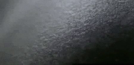 Goosebumps Hair Stand GIF