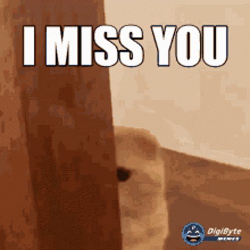Miss GIF