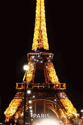 Eiffel Tower Paris GIF