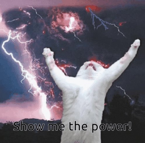 Cat Lightning GIF