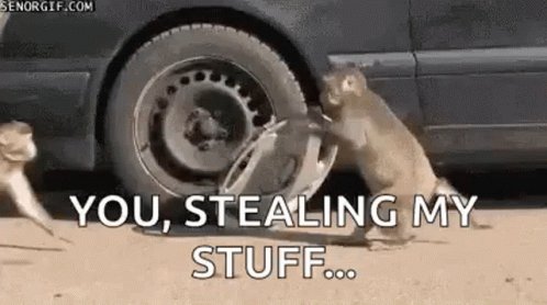 Monkey Steal GIF