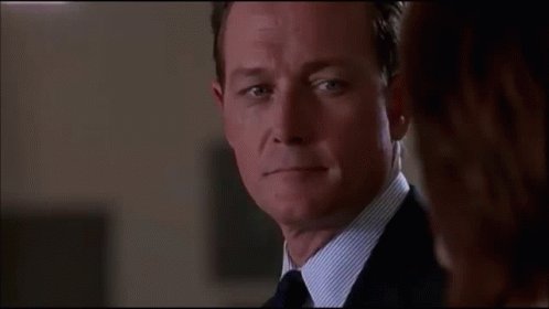 Doggett X Files Amused GIF