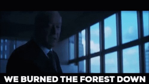 We Burned The Forest Down Burned GIF