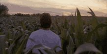 Field Of Dreams Baseball GIF