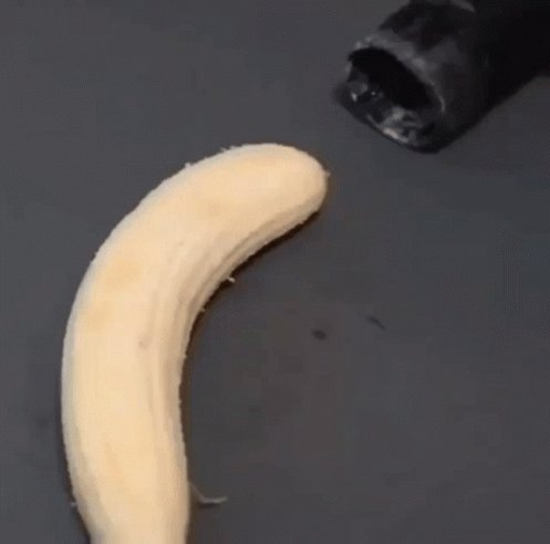 Banana Vacuuming GIF