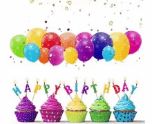    Happy Birthday President Joe Biden  You are my favorite president Thank you for all you ve done   