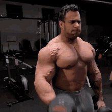 Gym Bodybuilder GIF