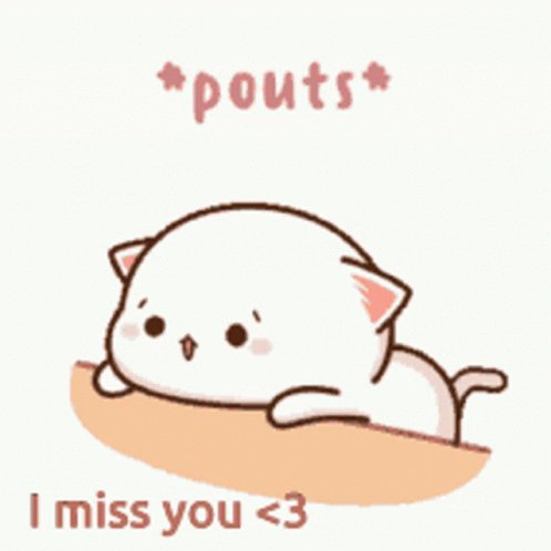 I Miss You Cat GIFs